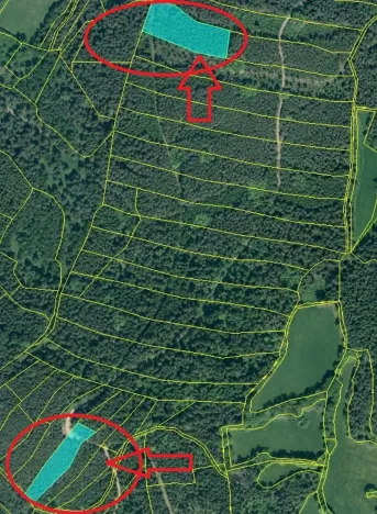 Prodej lesa, Zábrdí, 9676 m2