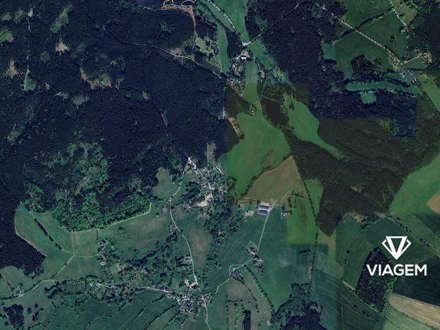 Prodej pole, Sněžné, 180 m2