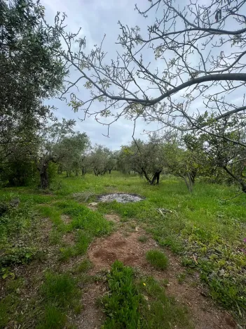 Prodej vily, Scalea, Itálie, 180 m2