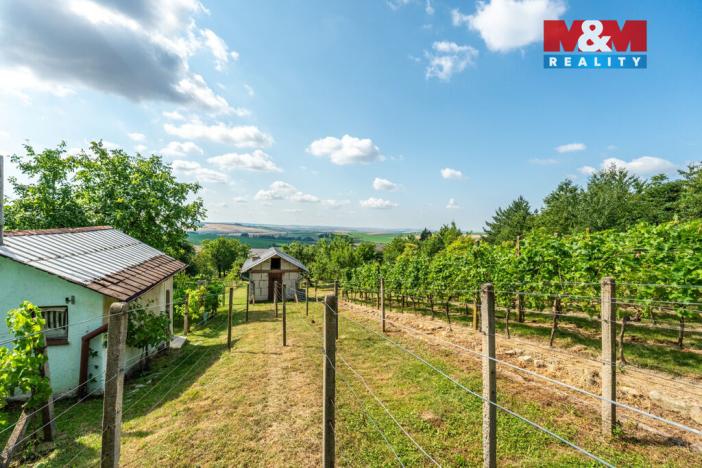 Prodej pozemku pro bydlení, Viničné Šumice, 3276 m2