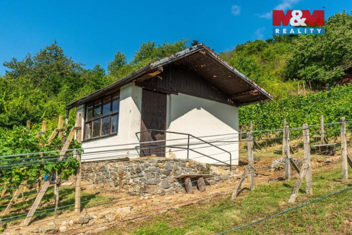 Prodej pozemku pro bydlení, Viničné Šumice, 3276 m2