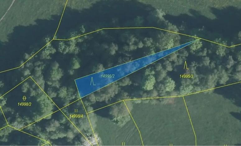 Dražba lesa, Hovězí, 330 m2