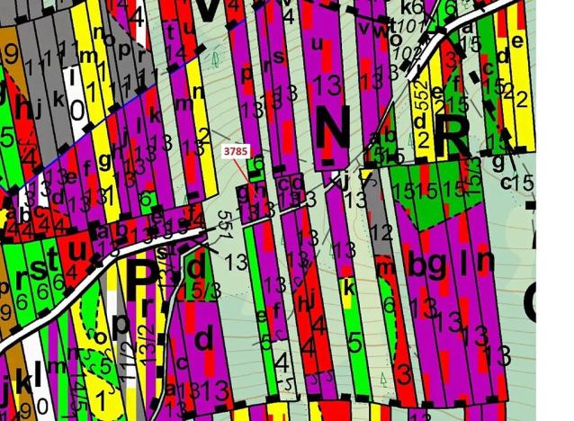 Dražba lesa, Borovany, 605 m2