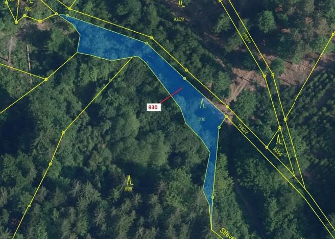 Dražba lesa, Jílové u Držkova, 967 m2