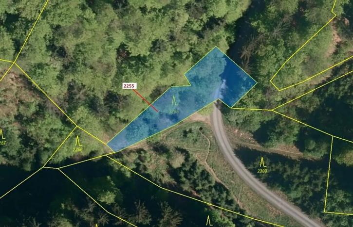 Dražba lesa, Valašská Senice, 917 m2