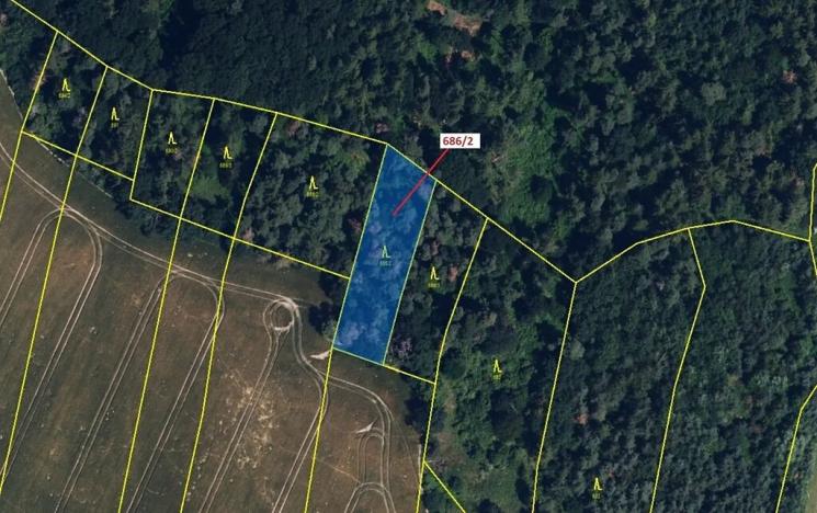 Dražba lesa, Přemyslovice, 1381 m2