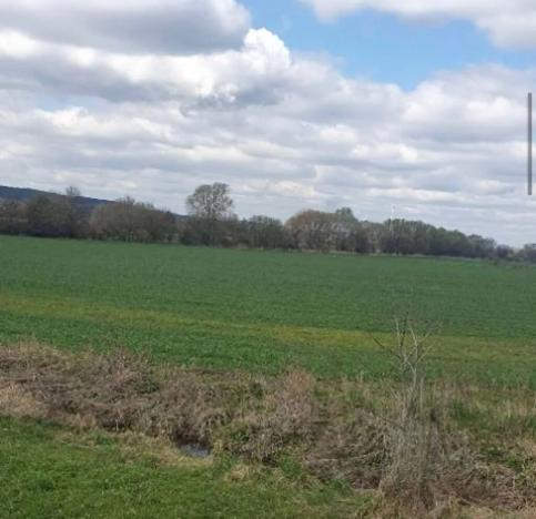 Dražba zahrady, Plzeň, 7558 m2