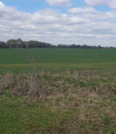 Dražba zahrady, Plzeň, 7558 m2