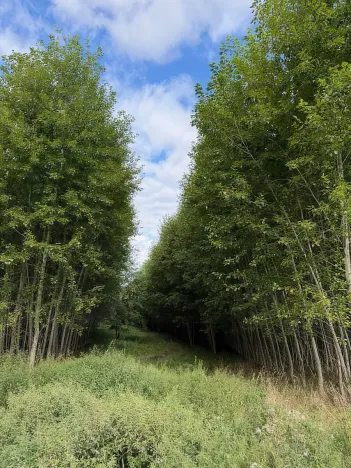 Prodej pole, Česká Kamenice, 108179 m2