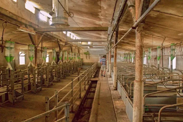 Prodej zemědělského objektu, Třešovice, 1059 m2