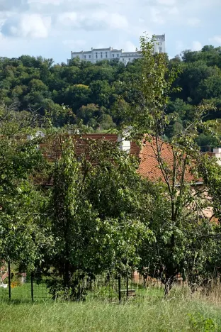 Prodej zahrady, Bojkovice, 1208 m2