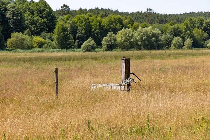 Prodej louky, Doksy, 46765 m2