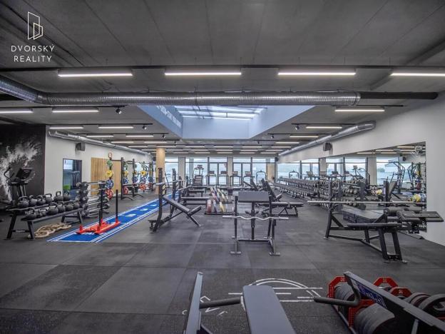 Prodej obchodního prostoru, Mladá Boleslav, Mileny Hážové, 4857 m2