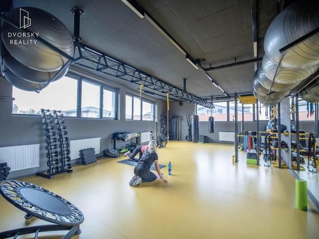 Prodej obchodního prostoru, Mladá Boleslav, Mileny Hážové, 4857 m2