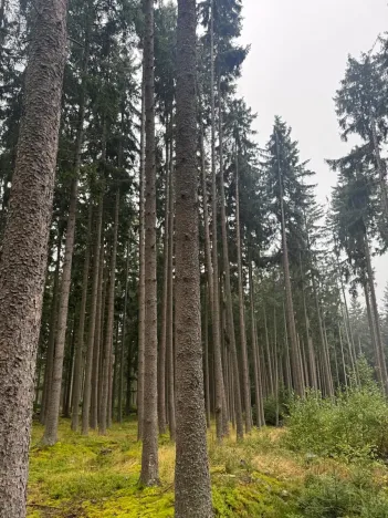 Prodej podílu pole, Nicov, 2230 m2