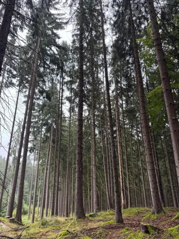 Prodej podílu pole, Nicov, 2230 m2