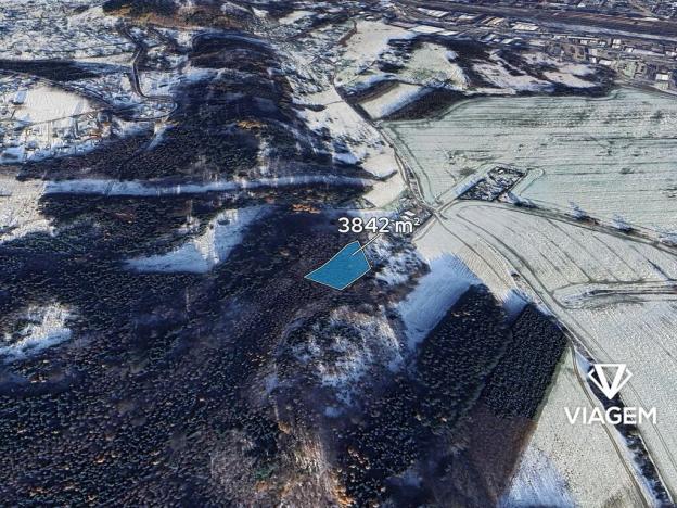 Prodej lesa, Česká Třebová, 3842 m2