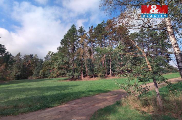 Prodej lesa, Petrovice - Žemličkova Lhota, 3719 m2