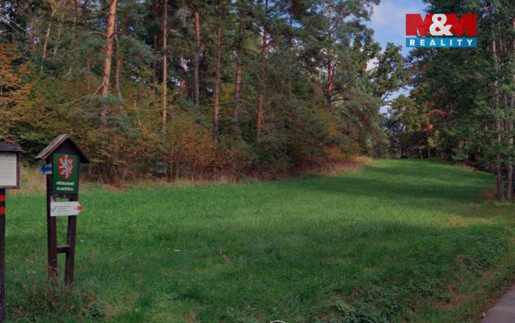 Prodej lesa, Petrovice - Žemličkova Lhota, 3719 m2