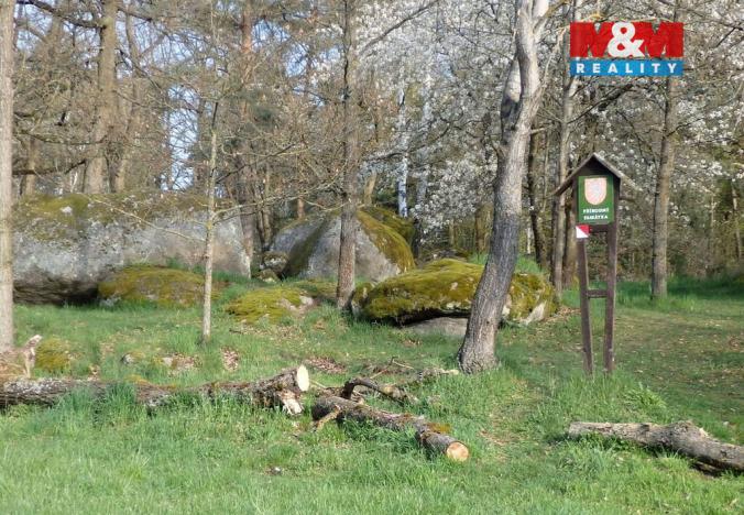 Prodej lesa, Petrovice - Žemličkova Lhota, 3719 m2