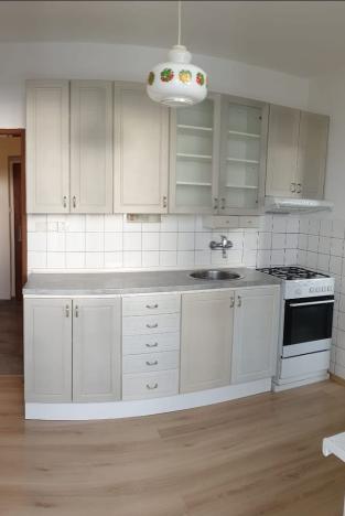 Pronájem bytu 1+1, Pardubice, Na Hrádku, 38 m2