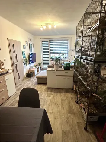 Prodej bytu 3+1, Žatec, Hájkova, 61 m2