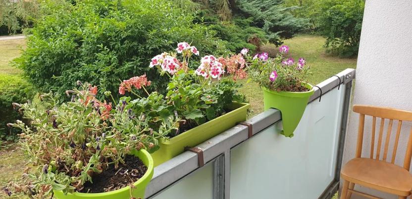 Pronájem bytu 2+1, Teplice, Gagarinova, 50 m2