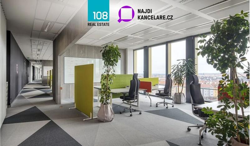 Pronájem kanceláře, Praha - Nusle, Pikrtova, 552 m2