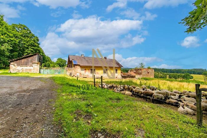 Prodej pozemku pro bydlení, Poleň, 6333 m2