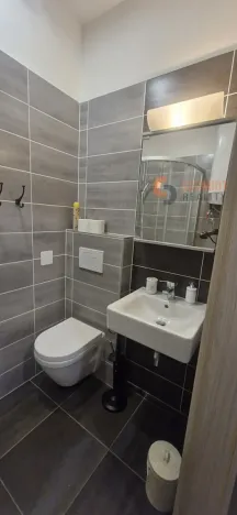 Pronájem bytu 1+kk, Mikulov, Purkyňova, 29 m2