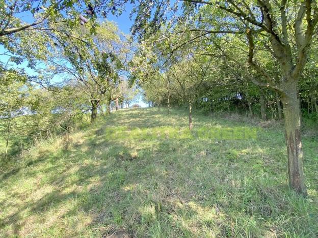 Pronájem louky, Podolí, 938 m2