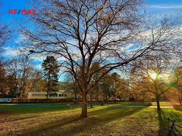 Pronájem bytu 1+kk, Pardubice, Gagarinova, 28 m2