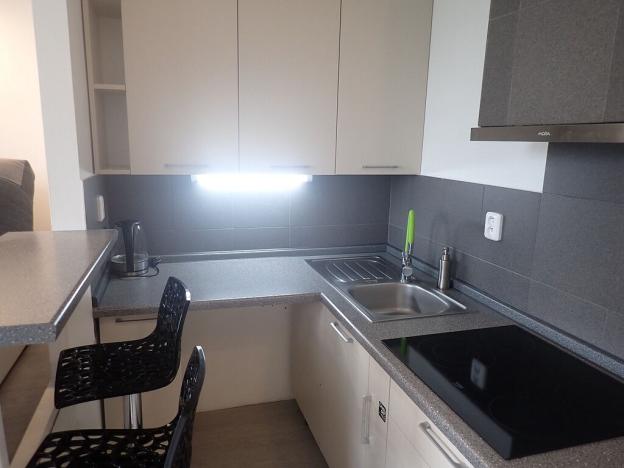 Pronájem bytu 1+kk, Liberec - Liberec XIV-Ruprechtice, Rychtářská, 18 m2