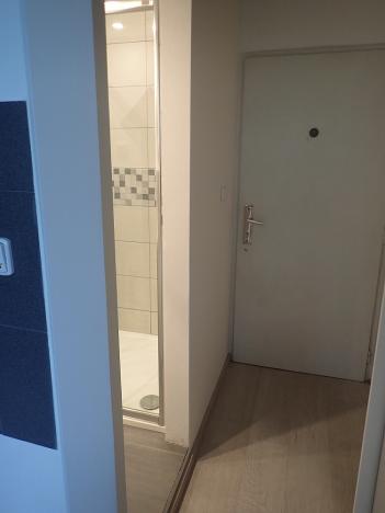 Pronájem bytu 1+kk, Liberec - Liberec XIV-Ruprechtice, Rychtářská, 18 m2