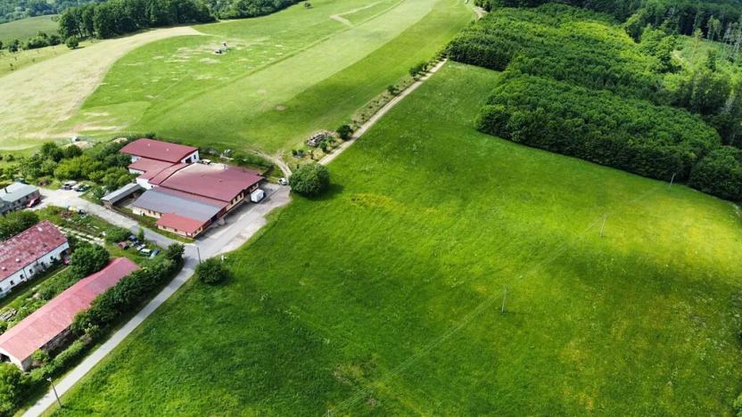 Prodej komerčního pozemku, Petrůvka, 2190 m2