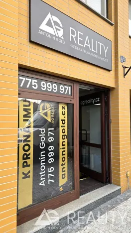 Pronájem kanceláře, Praha - Bubeneč, Terronská, 24 m2