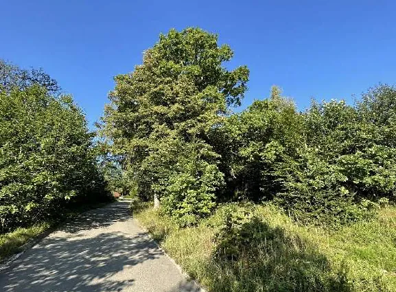 Dražba louky, Vsetín, 3055 m2