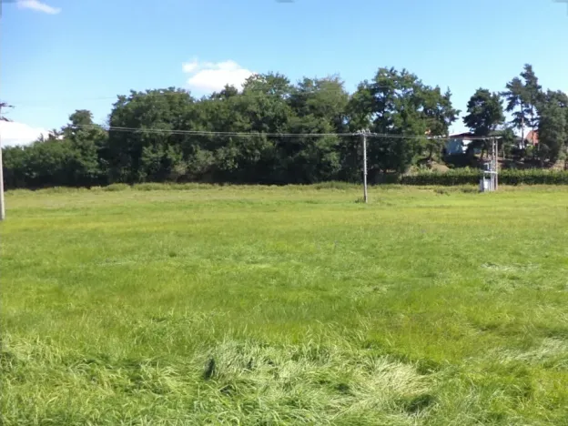 Dražba louky, Mirovice, 1251 m2