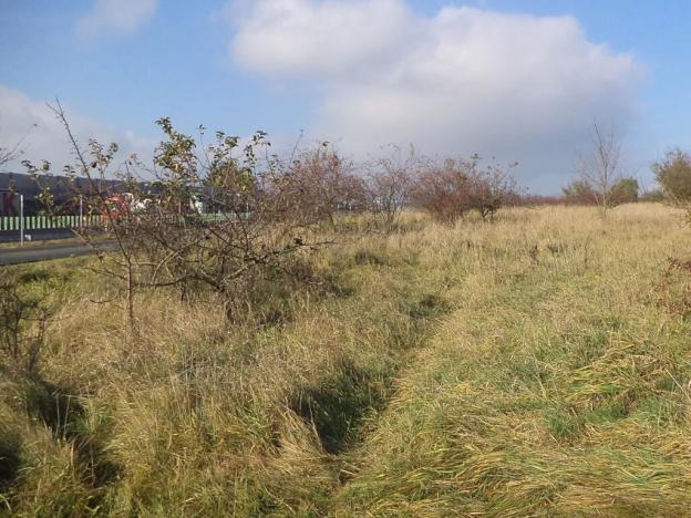 Dražba zahrady, Otrokovice, 503 m2