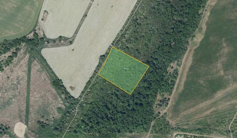 Prodej pole, Staňkovice, 260658 m2