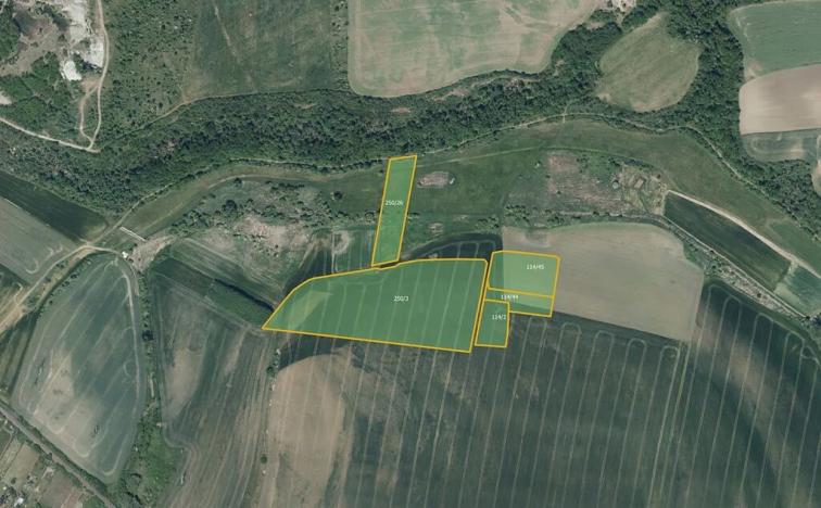 Prodej pole, Staňkovice, 260658 m2