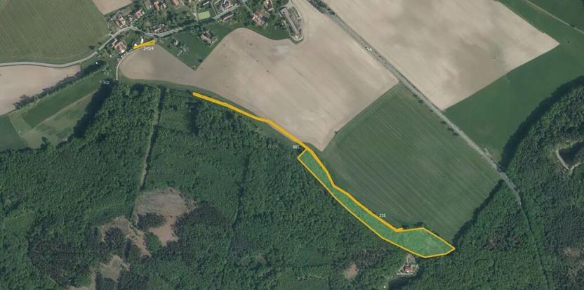 Prodej lesa, Radhošť, 14611 m2