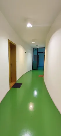 Pronájem bytu 3+kk, Ostrava, Biskupská, 101 m2