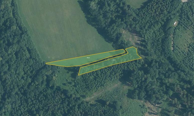 Prodej pole, Police, 14619 m2