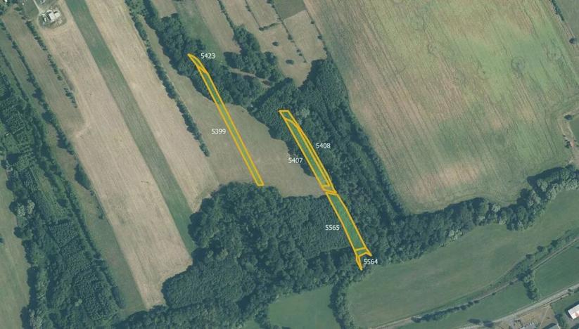 Prodej pole, Police, 43622 m2