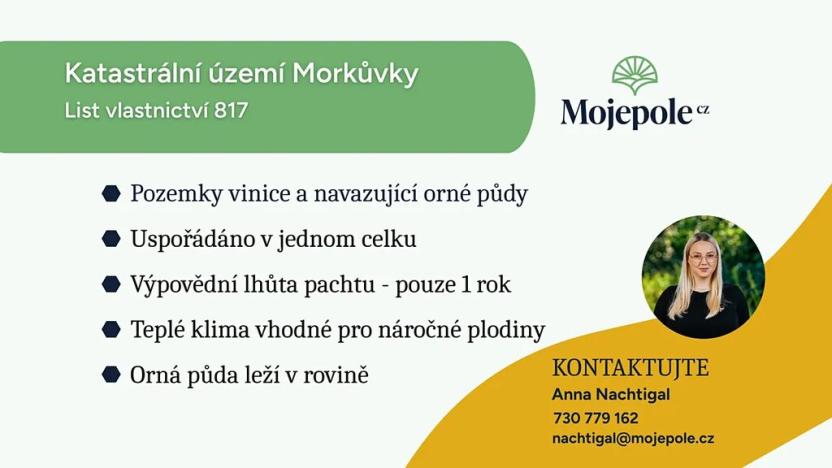 Prodej pole, Morkůvky, 4640 m2