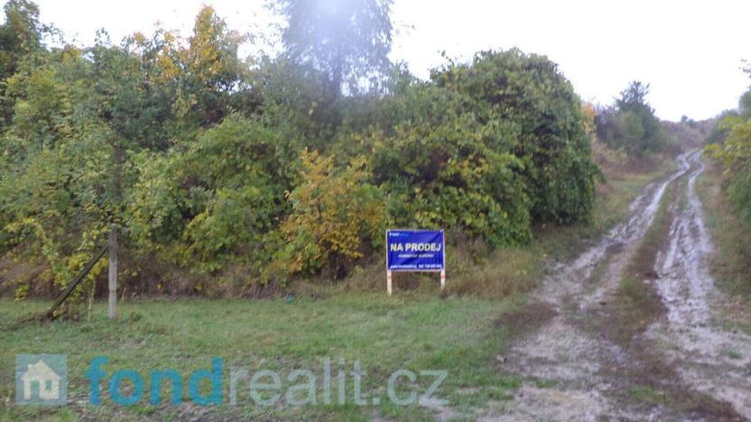 Prodej pozemku, Morkůvky, 4541 m2