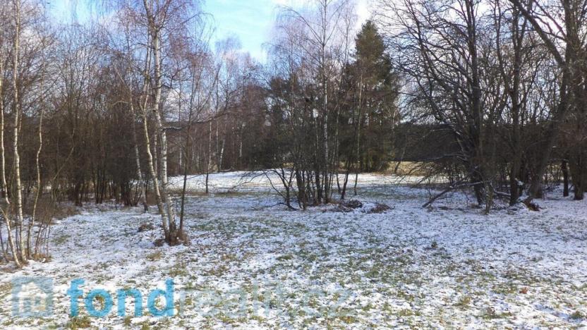 Prodej pozemku, Staré Město pod Landštejnem, 3575 m2