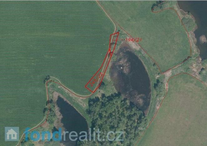 Prodej pozemku, Borovná, 1225 m2