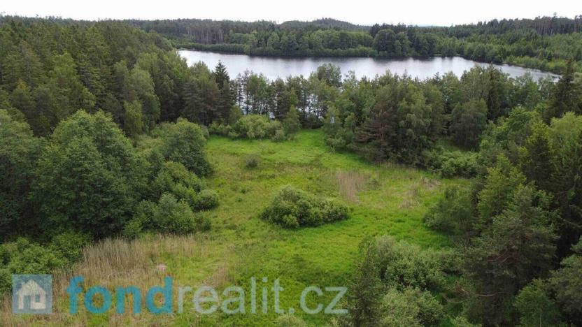 Prodej pozemku, Slavonice - Stálkov, 27662 m2